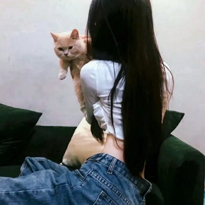 贤者之孙